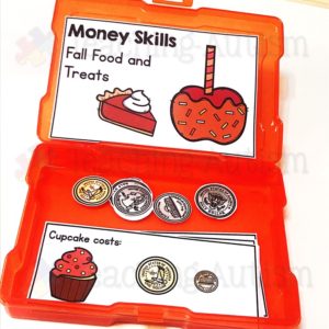 Money Matching Activity