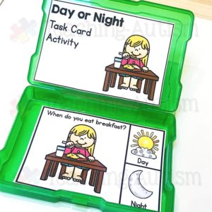 Day and Night Sorting Activity