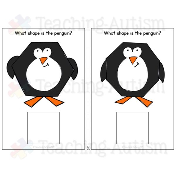 Penguin Body Shape 2D Activities