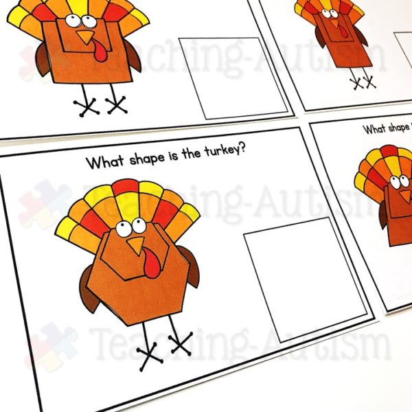 2D Shape Turkey Activity