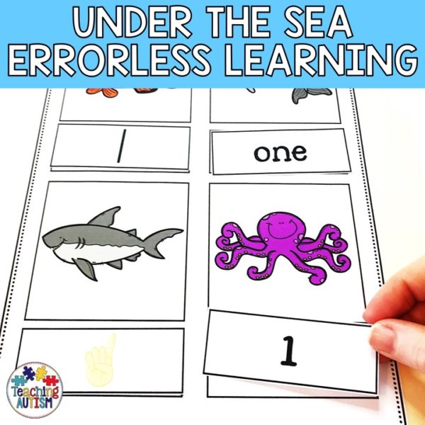 Errorless Learning File Folders