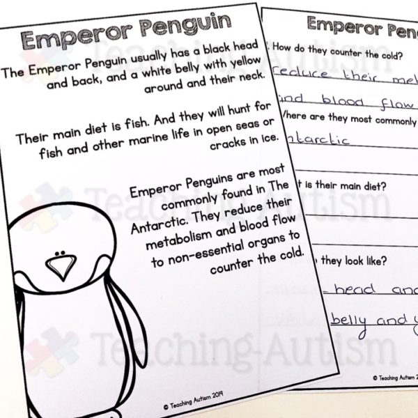 Penguin Worksheets