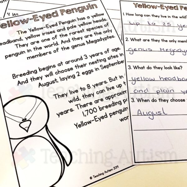 Penguin Worksheets