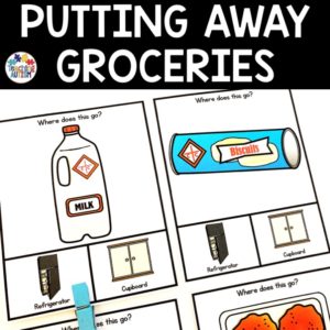 Putting Away Groceries Life Skills Activity Task Box