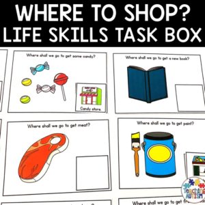 Where to Shop? Life Skills Activity Task Box