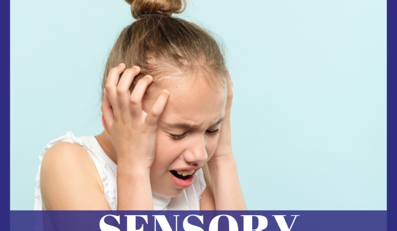 What is a Sensory Lifestyle?