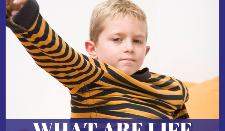 What are Life Skills? Special Education Podcast