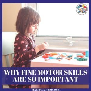 Why Teaching Fine Motor Skills