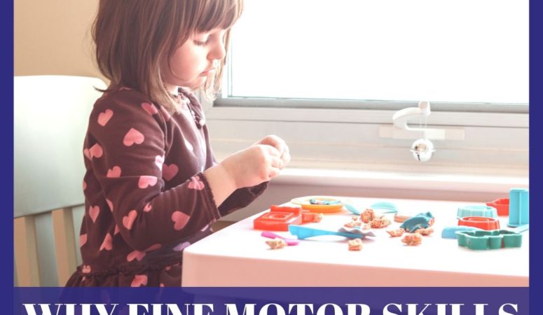 Why Teaching Fine Motor Skills is So Important