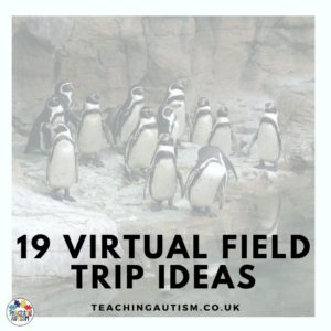 Virtual Field Trip Ideas
