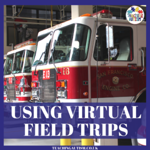 Virtual Field Trips in Special Education