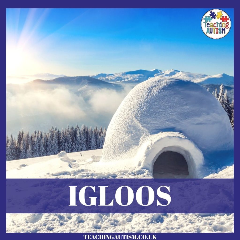 Igloo Activities for Kids