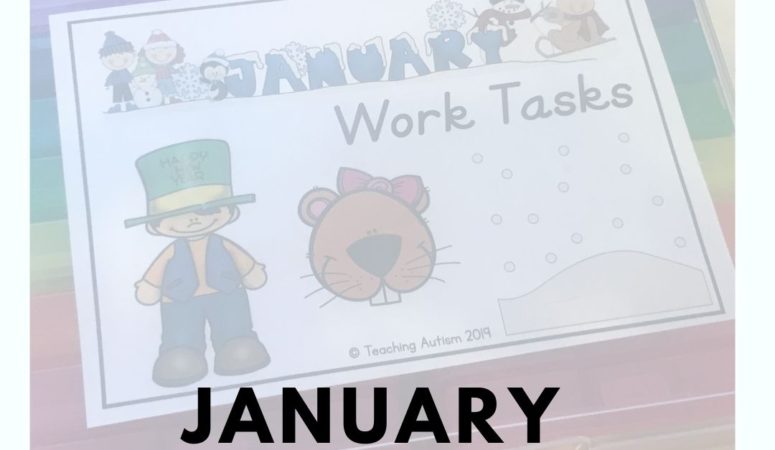 January Task Boxes for Special Education