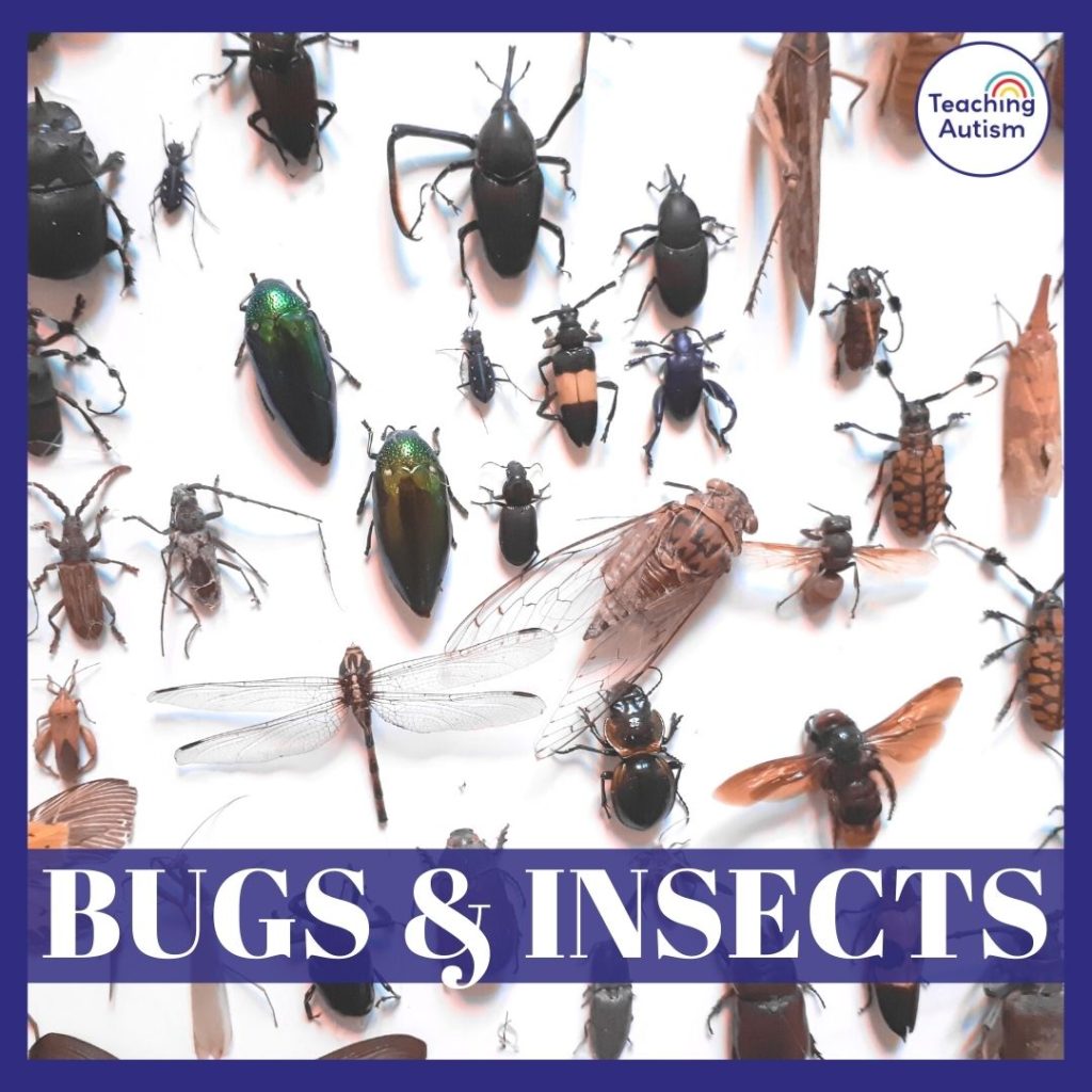 Bugs and Insects Classroom Theme Ideas