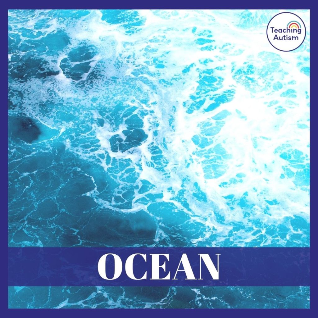 Ocean Classroom Theme Ideas