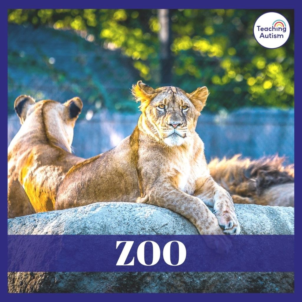 Zoo Classroom Ideas