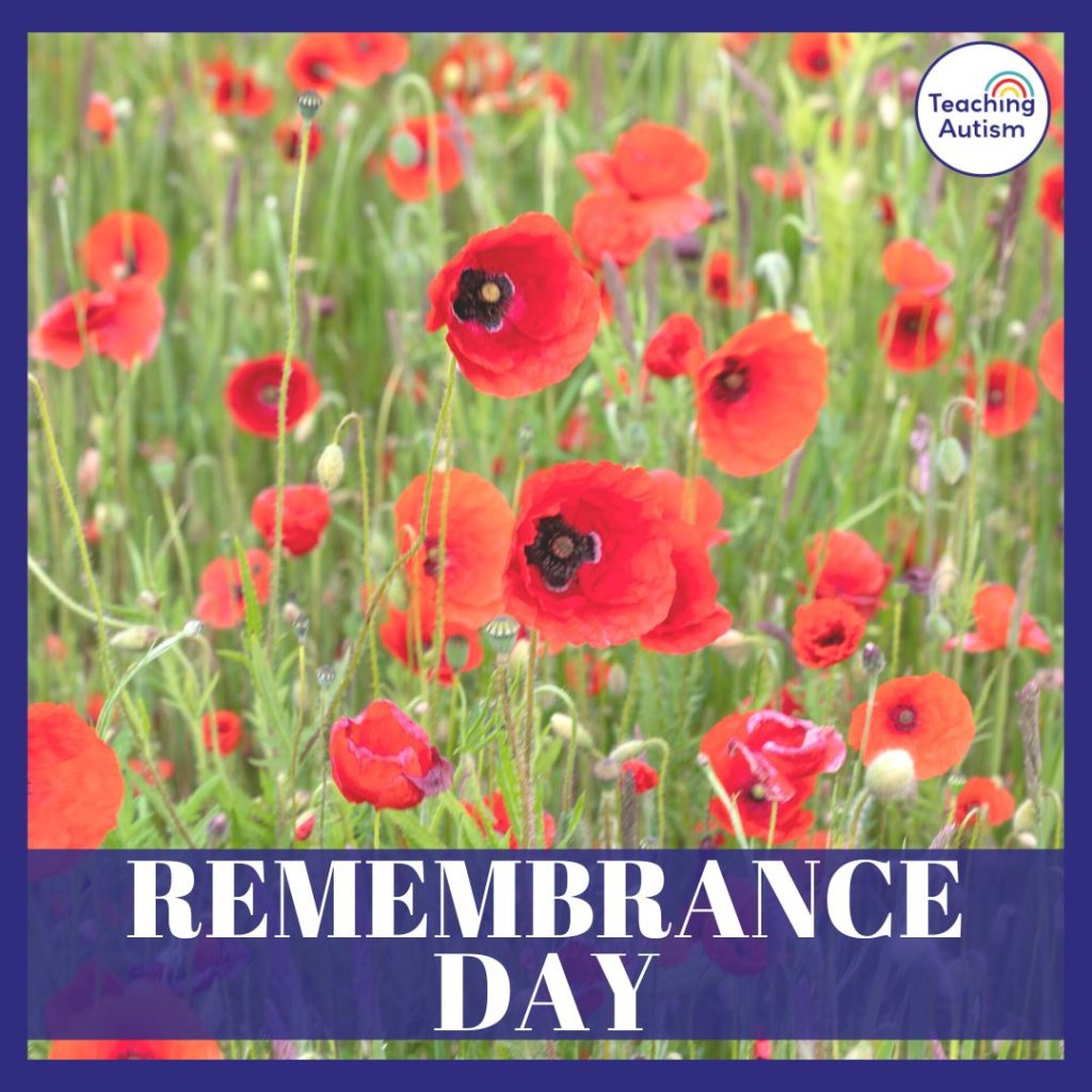 Remembrance Day Classroom Activities
