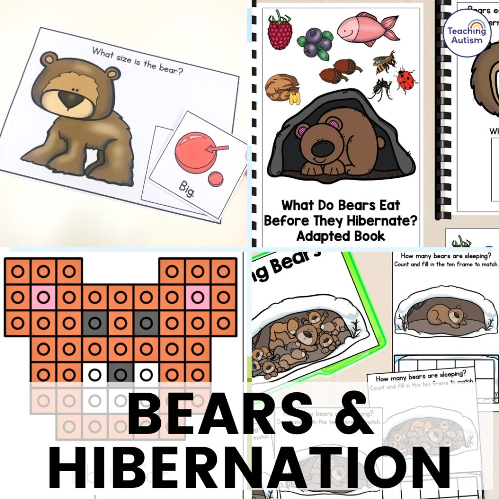 Bears and Hibernation Theme Ideas