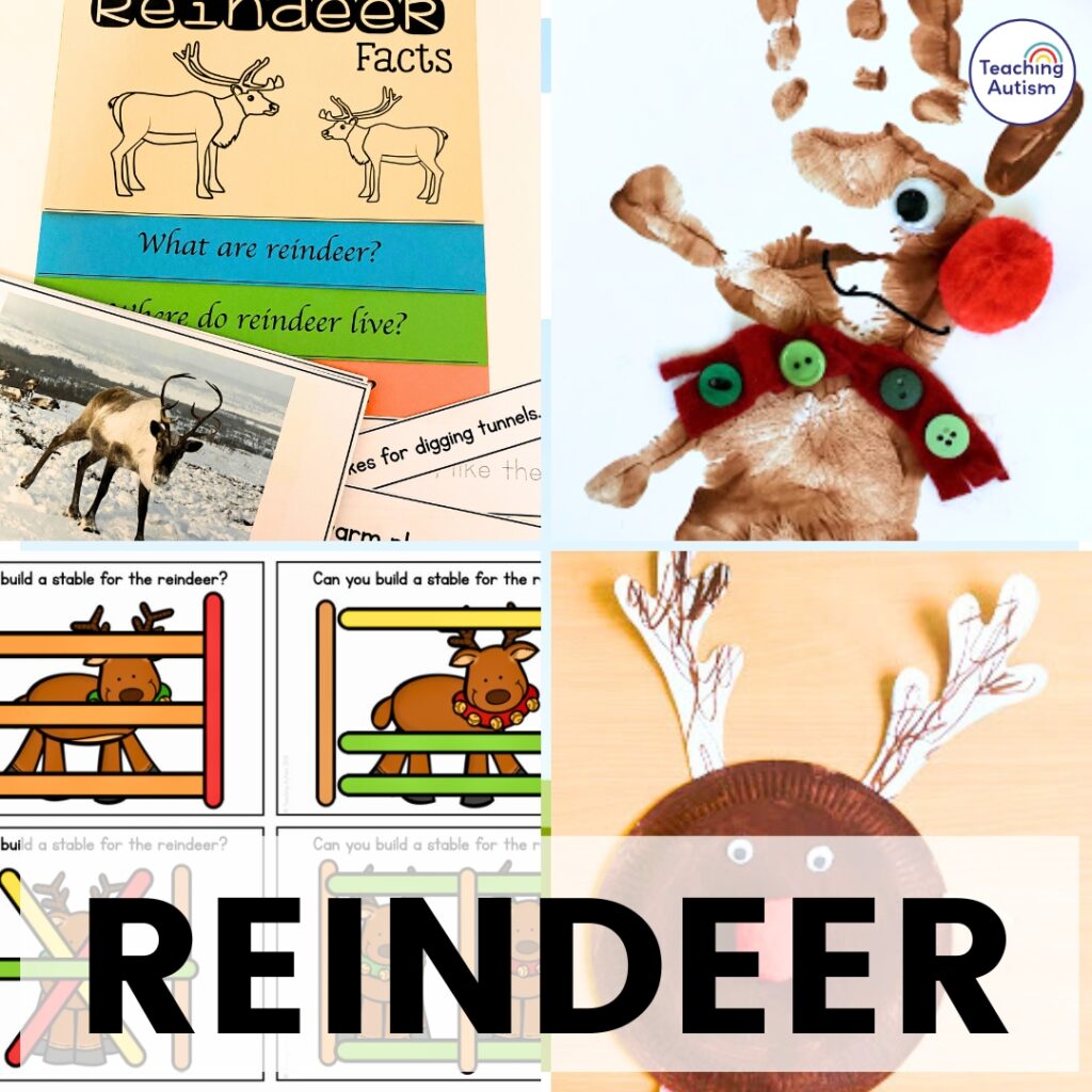 Reindeer Theme Ideas
