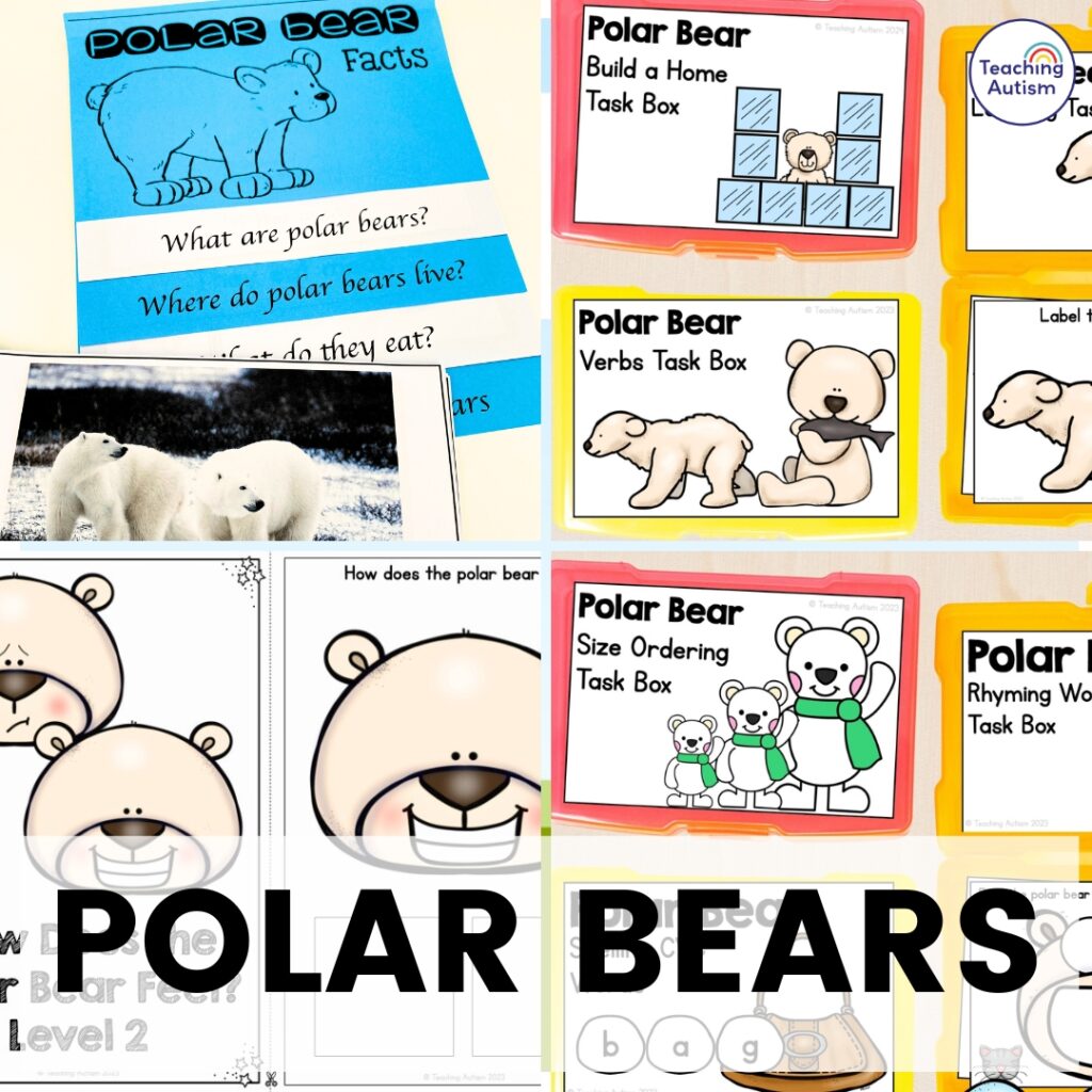 Polar Bear Theme Ideas