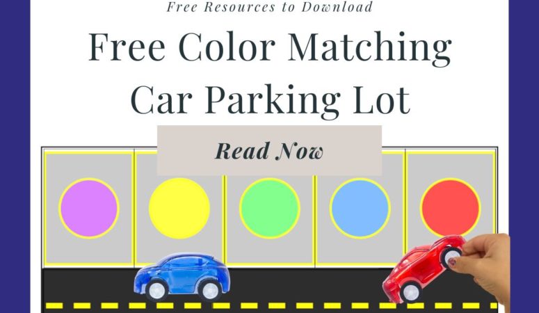 Free Color Matching Car Park