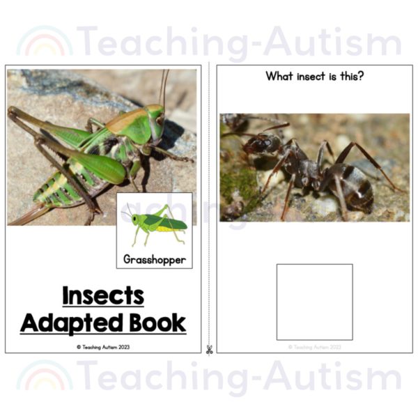 Insect Photos Adapted Book