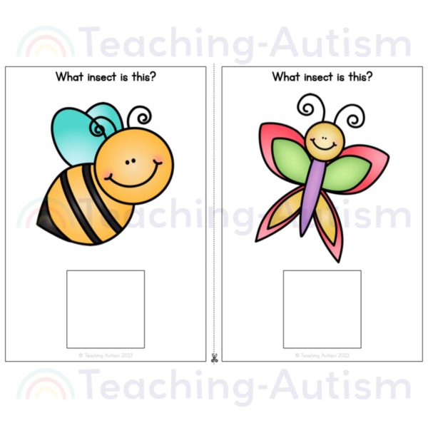 Insects Adapted Book for Special Education