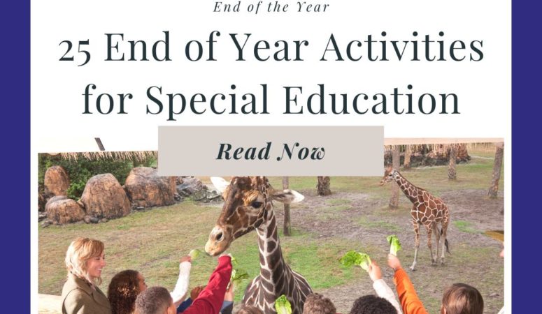 25 End of Year Activities for Special Education
