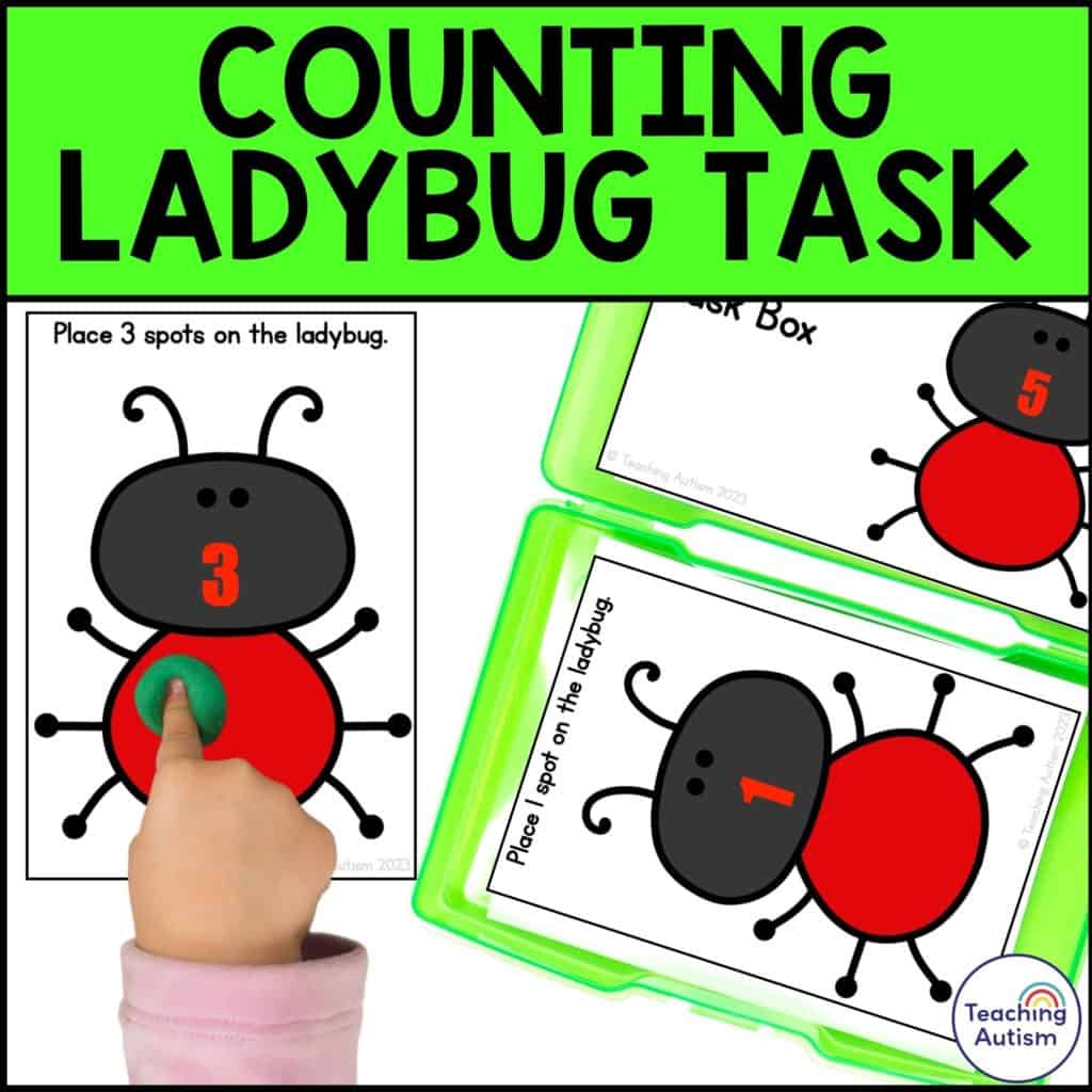 Ladybug Counting Task Box - Teaching Autism
