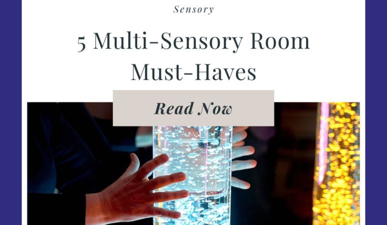 5 Multi-Sensory Room Must-Haves