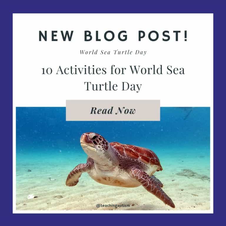 10 Sea Turtle Day Activities