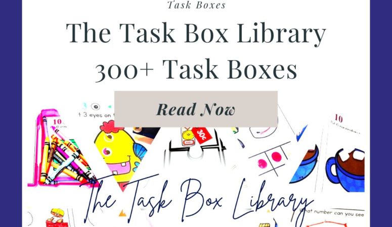 300+ Task Boxes for Special Education