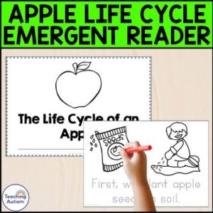 The Life Cycle of an Apple Activity Emergent Reader