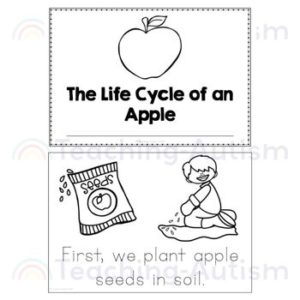 The Life Cycle of an Apple Activity Emergent Reader