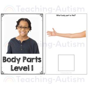 Body Part Photos Adapted Books for Special Education