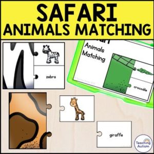 Safari Animal Matching Task Box