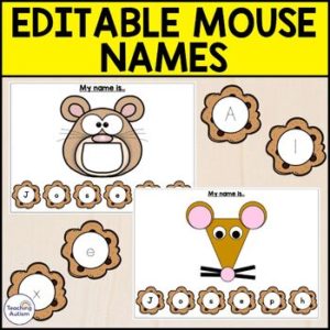 Editable Name Spelling Activity