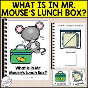 What is in Mr Mouse's Lunch Box? Adapted Book