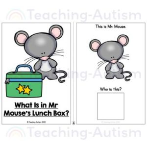 What is in Mr Mouse's Lunch Box? Adapted Book