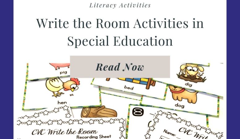 Write the Room Activities in Special Education