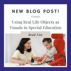 Using Real Life Objects as Visuals in Special Education