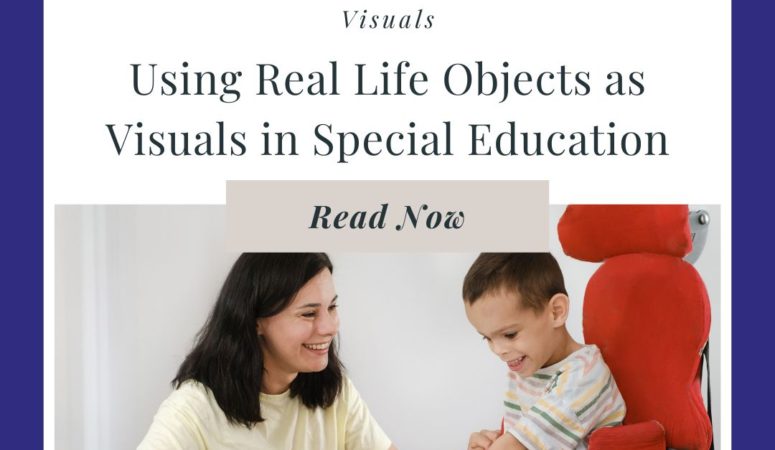 Using Real Life Objects as Visuals in Special Education