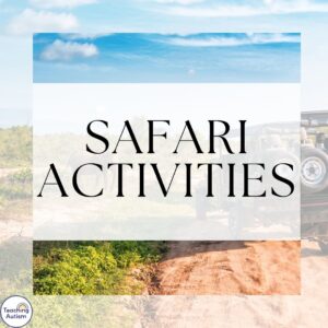Safari Activities