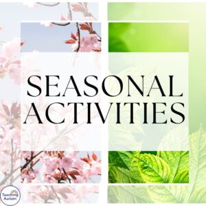 Seasonal Activities