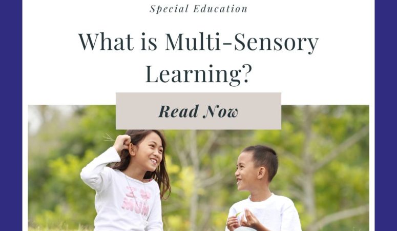What is Multi-Sensory Learning?