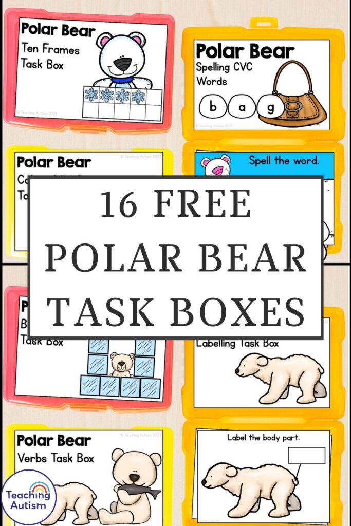 Free Polar Bear Task Boxes for Special Education