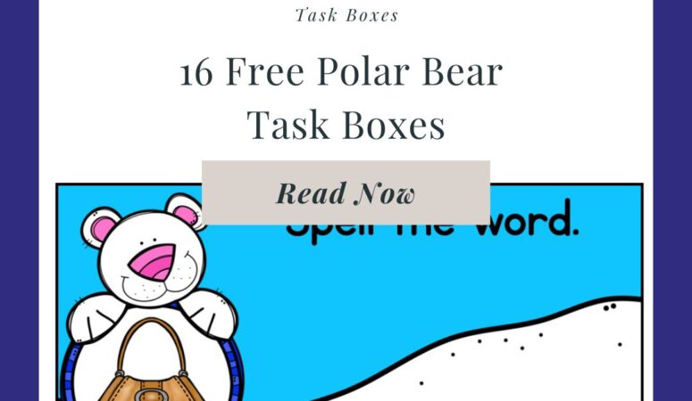 Free Polar Bear Task Boxes for Special Education