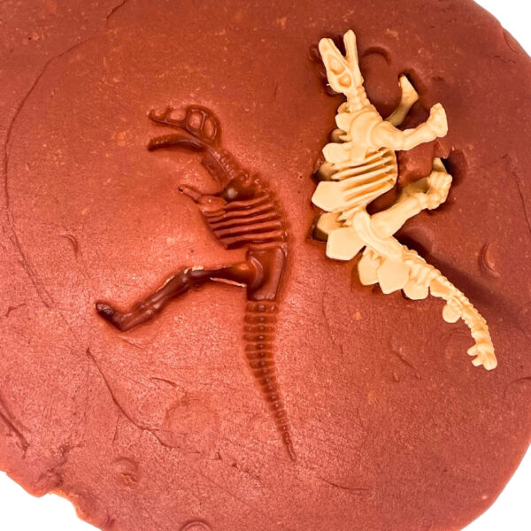 Dinosaur Skeletons Play Dough Jar