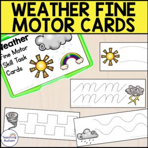 Weather Fine Motor Skill Task Cards