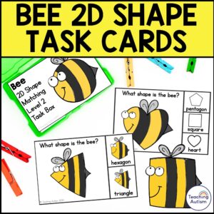 Bee 2D Shape Matching Task Box